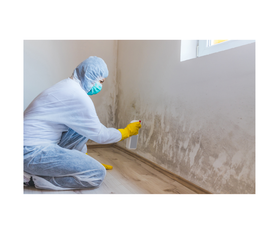 Mold Remediation on Long Island